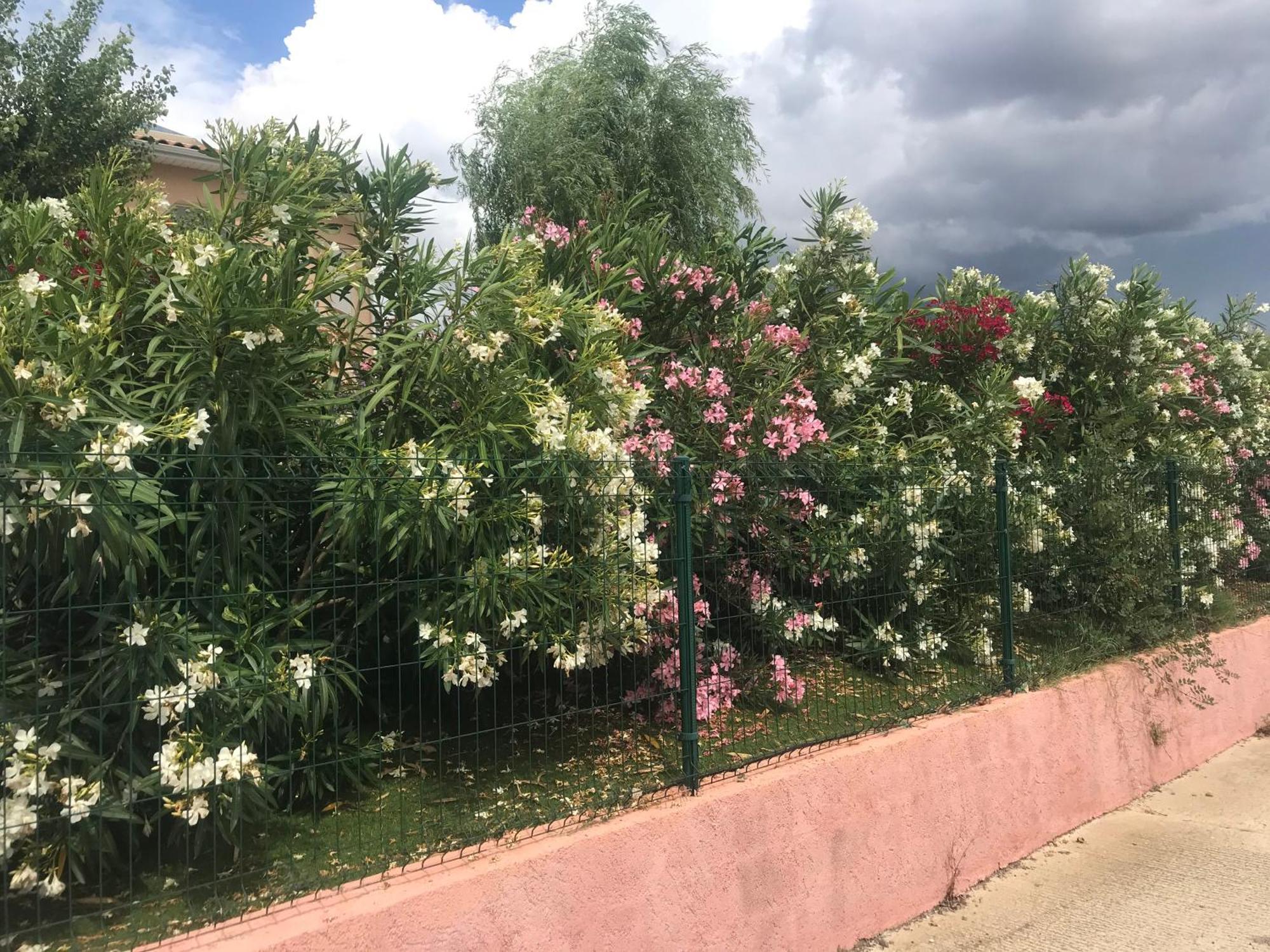 Moderne Mini Maison Lézignan-Corbières Εξωτερικό φωτογραφία