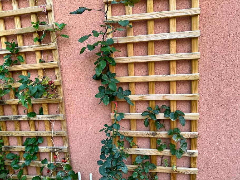 Moderne Mini Maison Lézignan-Corbières Εξωτερικό φωτογραφία