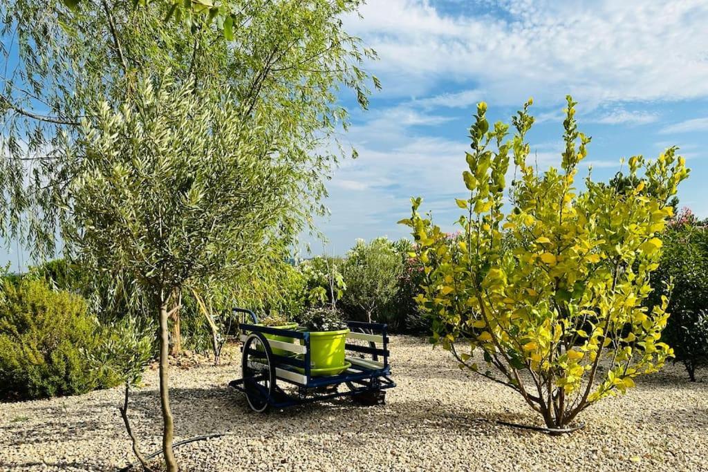 Moderne Mini Maison Lézignan-Corbières Εξωτερικό φωτογραφία